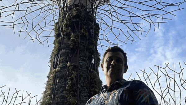 Gardens by the Bay en Singapur